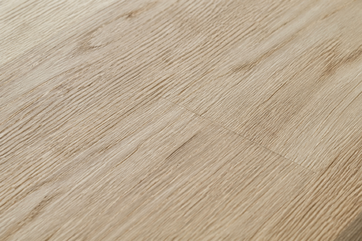 Oak close-up